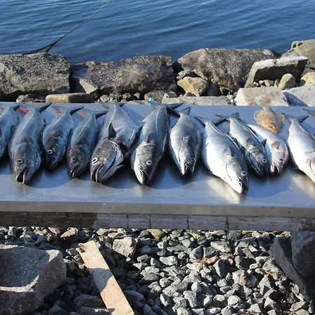 Fjordhytte-3 In Traumhafter Lage 100 Meter Vom Hardangerfjord, Motorboot Mietbar