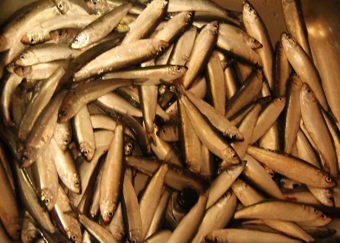 Fjordhytte-3 In Traumhafter Lage 100 Meter Vom Hardangerfjord, Motorboot Mietbar בית נופש Aenes