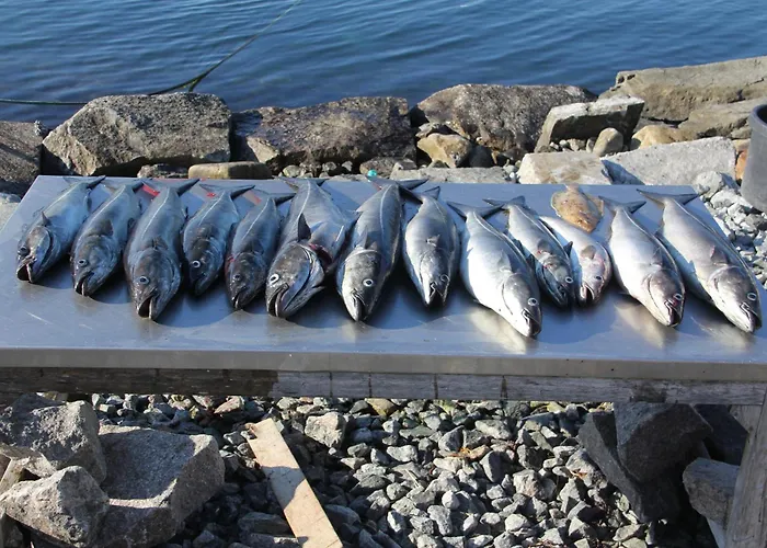 Fjordhytte-3 In Traumhafter Lage 100 Meter Vom Hardangerfjord, Motorboot Mietbar