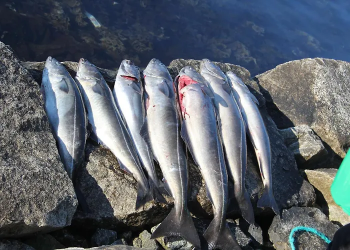 Fjordhytte-3 In Traumhafter Lage 100 Meter Vom Hardangerfjord, Motorboot Mietbar בית נופש *