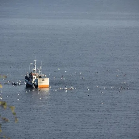 Fjordhytte-3 In Traumhafter Lage 100 Meter Vom Hardangerfjord, Motorboot Mietbar Ferienhaus