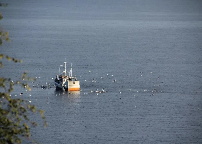 Fjordhytte-3 In Traumhafter Lage 100 Meter Vom Hardangerfjord, Motorboot Mietbar 펜션