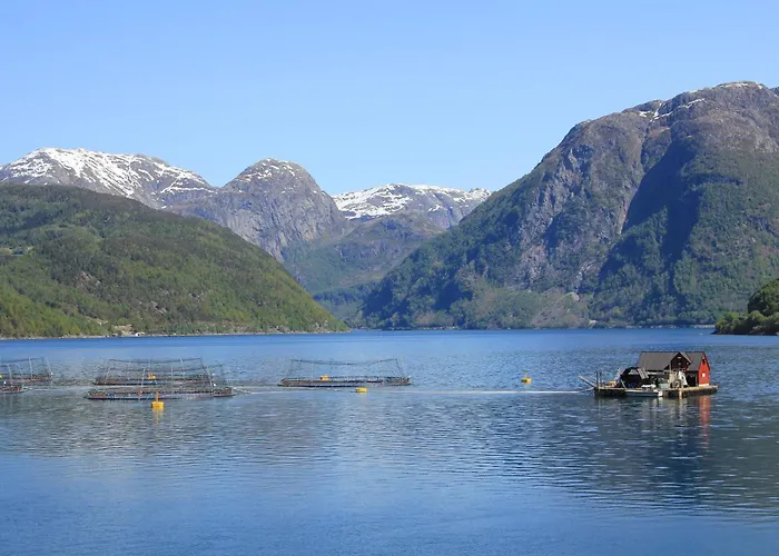 펜션 Fjordhytte-3 In Traumhafter Lage 100 Meter Vom Hardangerfjord, Motorboot Mietbar *